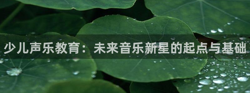 必一体育官网ios下载