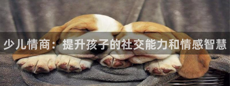 必一体育全站在线登录入口