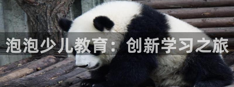 必一体育网址