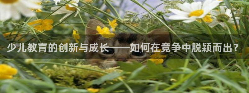 必一体育全站在线登录入口