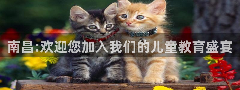 必一运动体育官网下载