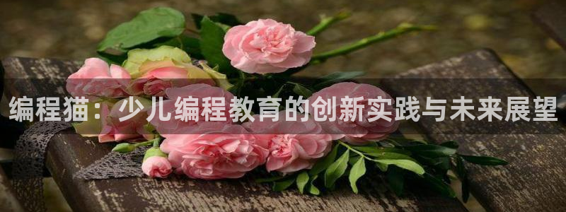 必一体育app官方下载入口