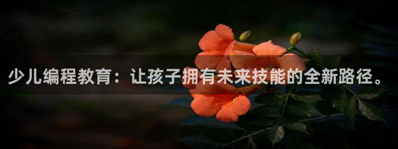 必一体育手机下载
