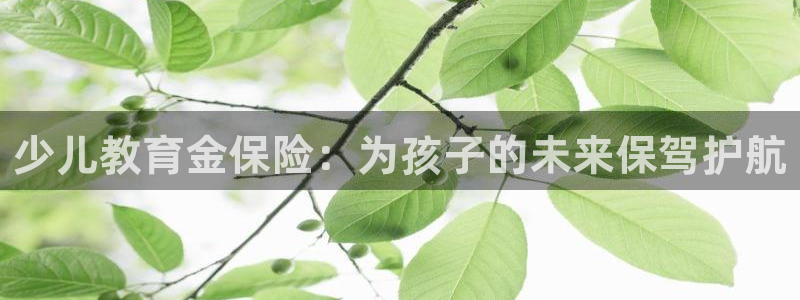必一体育最新官网入口首页