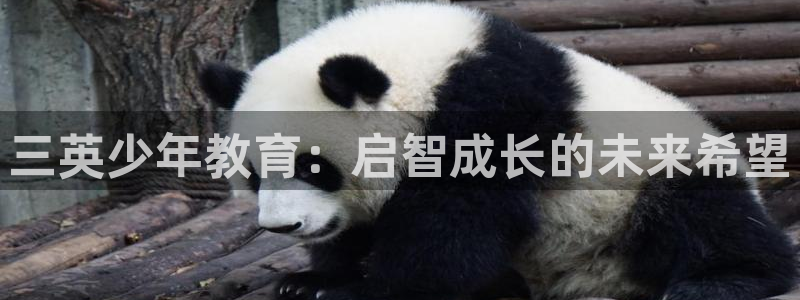 必一体育运动平台官网