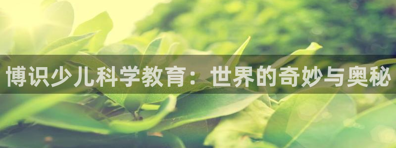 必一运动·(B-Sports)