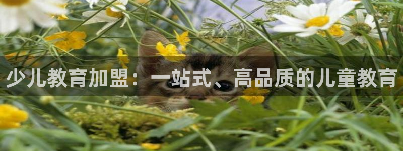 必一体育合法吗