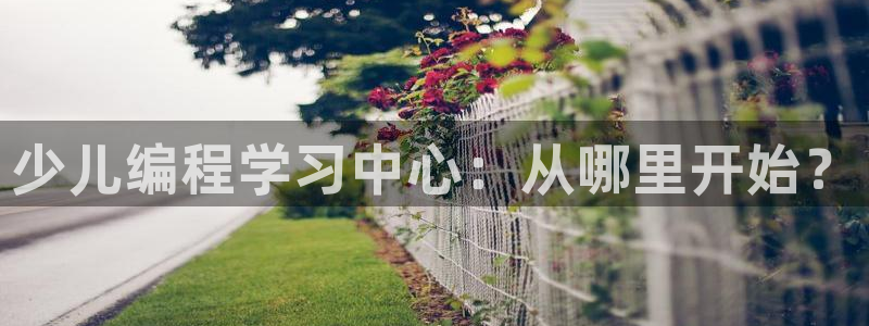 必一体育官网app