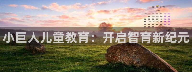 必一体育运动app