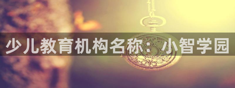 必一体育官网app