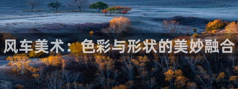 必一体育黑平台