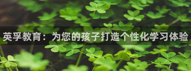 必一运动sport爱查股