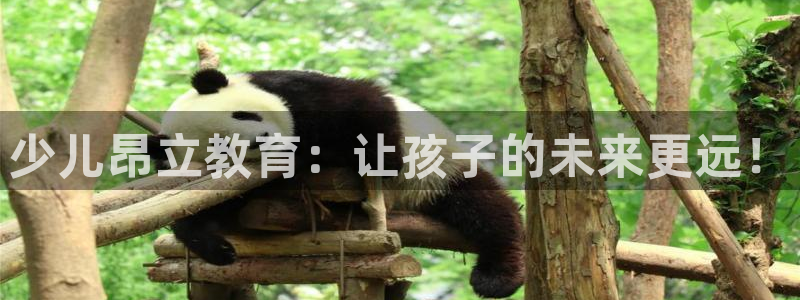 必一体育sport下载