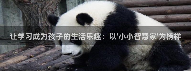 必一运动官网装机吧