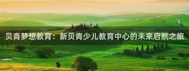 必一运动·(b-sports)官方网站