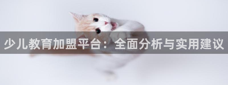 必一体育在哪下