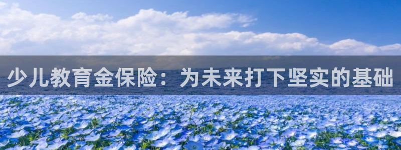 必一体育sport下载