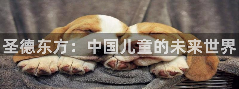 必一体育app下载装机吧