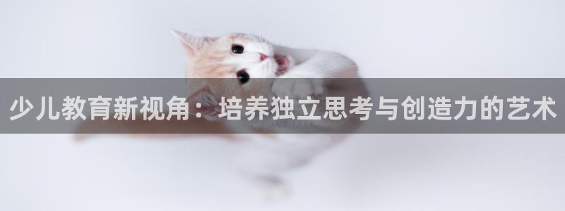 必一体育服下载最新版本更新内容