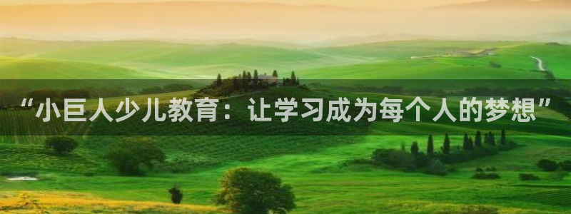 必一体育最新官网入口首页