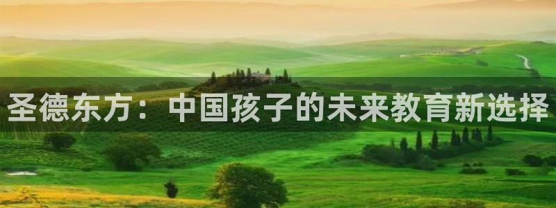Bsport体育必一