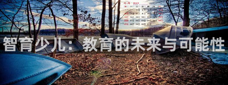 必一体育没了