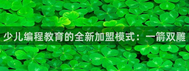 必一体育电子app