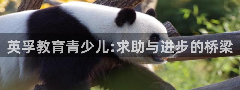 必一运动验证码