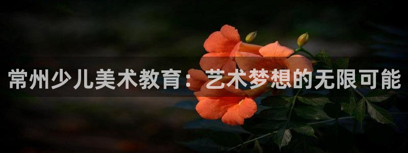 必一体育app下载装机吧