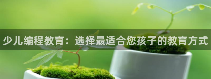 必一体育app下载装机吧