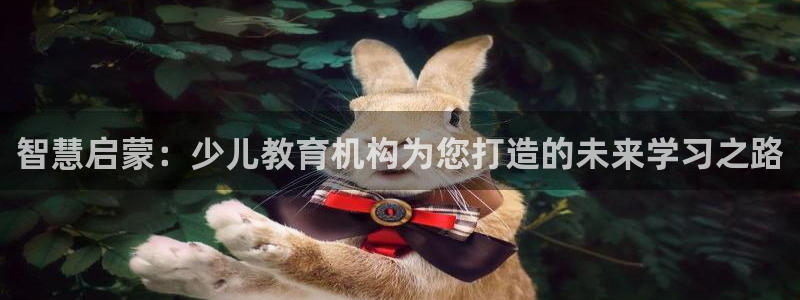 必一体育bsport下载