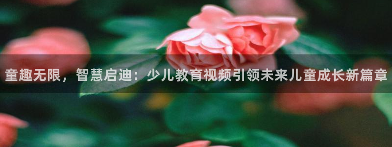 必一体育官方网站入口