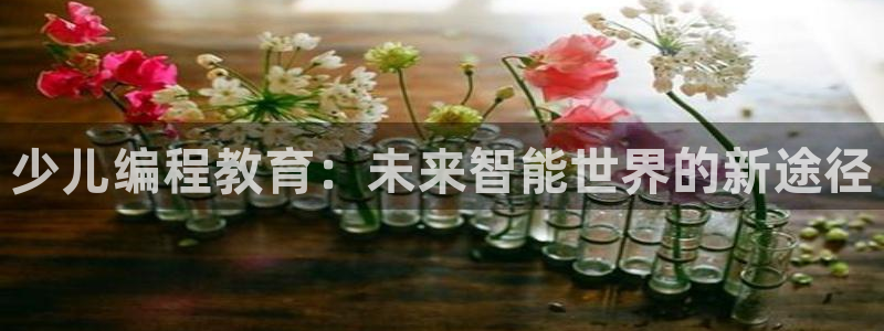 必一运动体