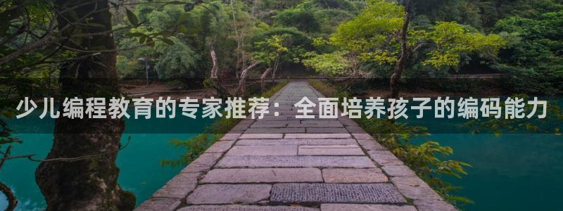 必一体育bsport下载