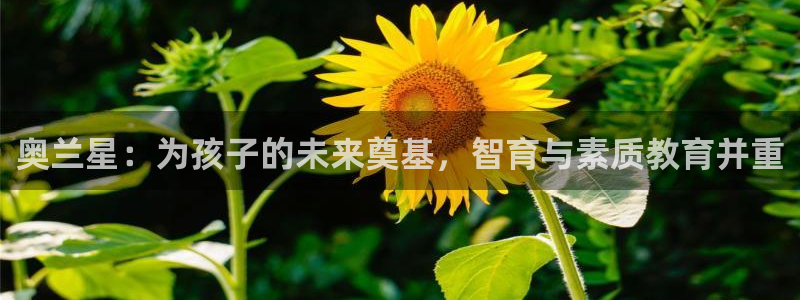 必十二和必一的副作用