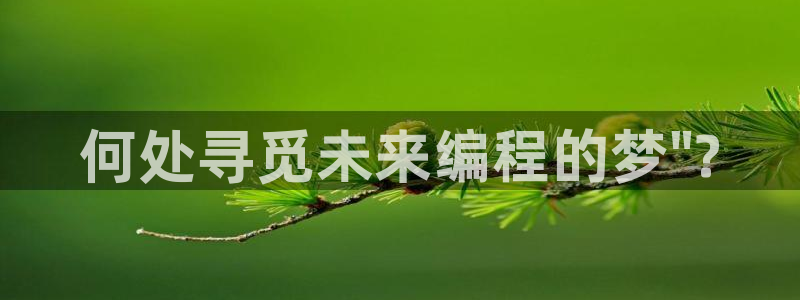 必一体育官网入口