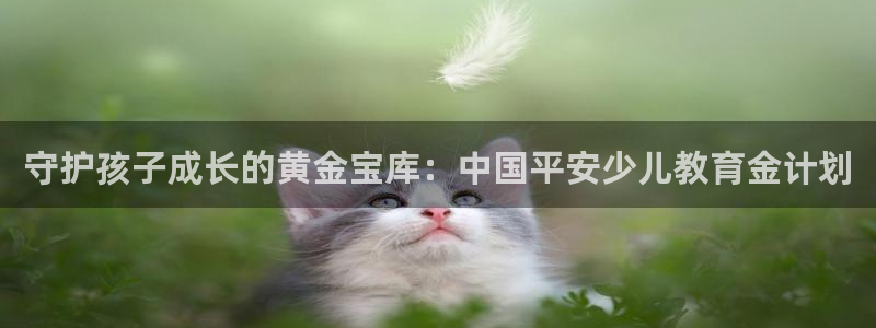 必一体育网址