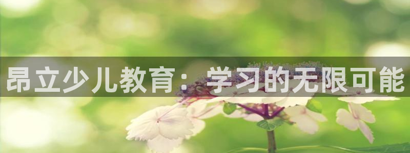 必一体育官方入口