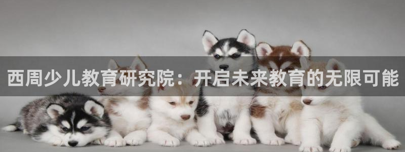 必一体育运动app下载