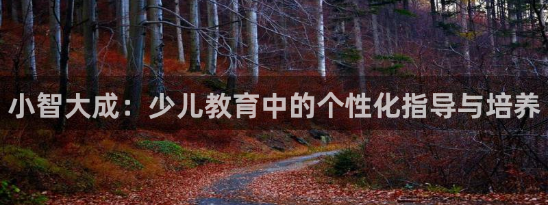 必一体育app官方正版下载