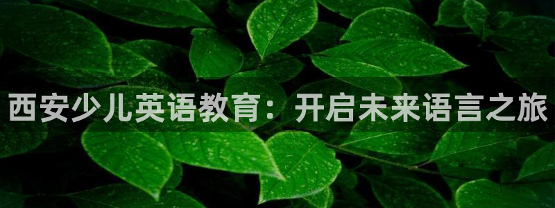 必一体育sport官网