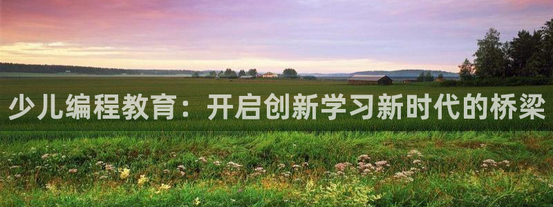 必一体育官网app