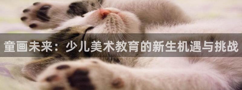 必一体育黑平台