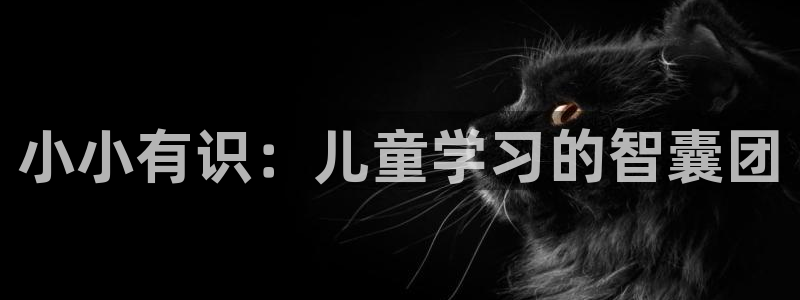 必一体育网页版登录