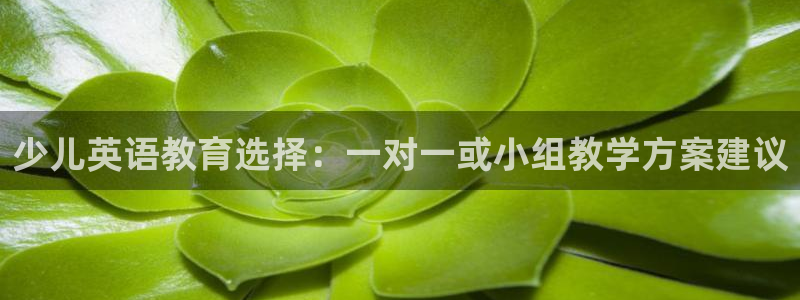 必一体育手机下载