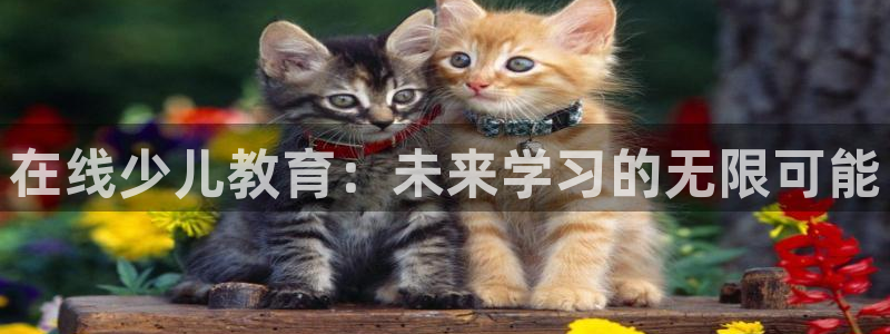 必一体育是哪里的台子