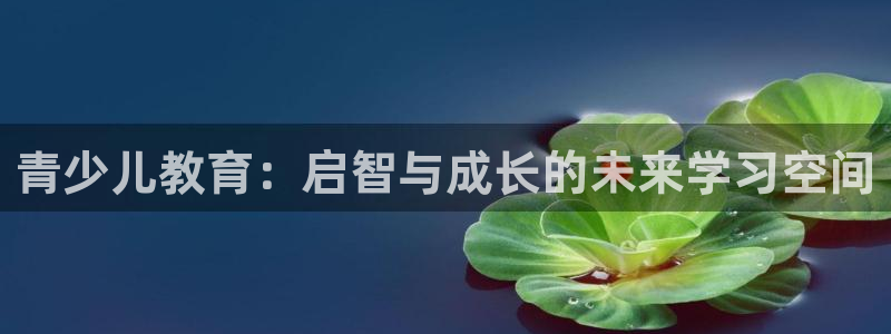 必一体育官网app