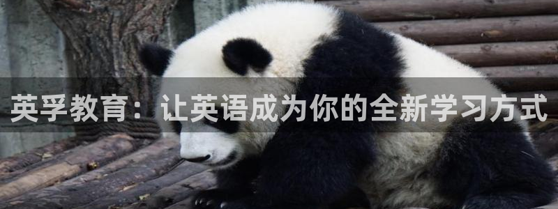 必一体育官方app下载