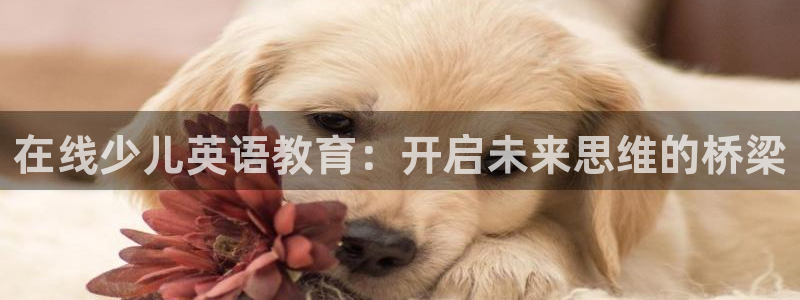 必一体育下载秀给网