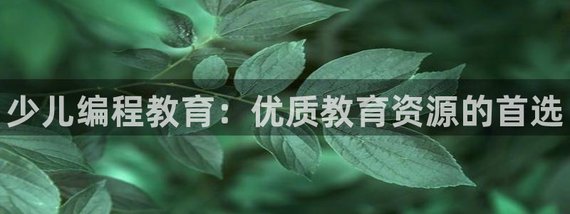 必一体育能提现大金额吗